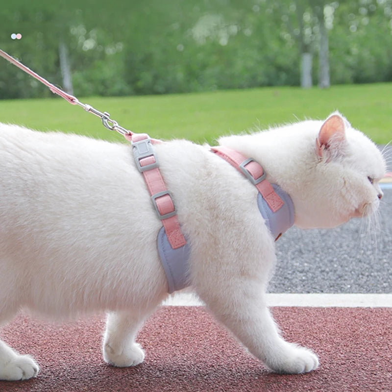 Ensemble de laisse SFP pour chiot DUOMM, spour petits chiens et chats de taille moyenne, bouledogue français, chihuahua